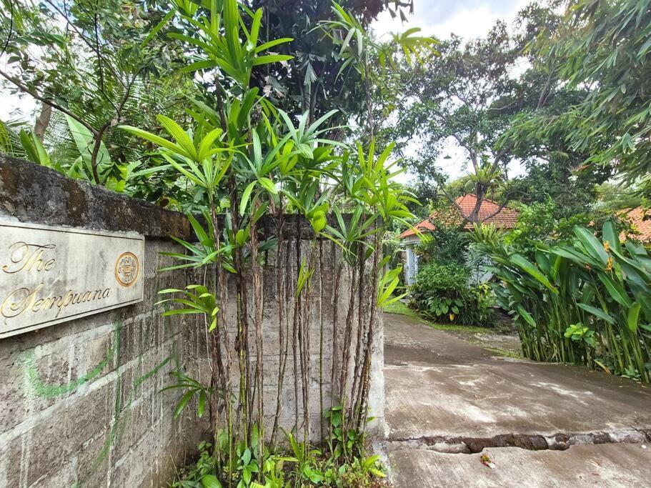 Villa The Sempuana Denpasar Esterno foto